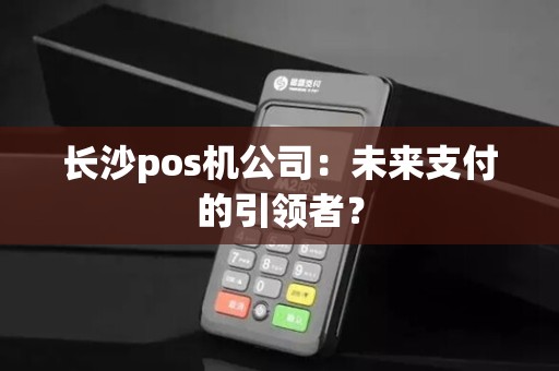 长沙pos机公司：未来支付的引领者？