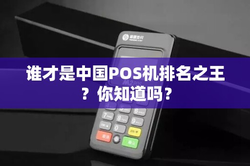 谁才是中国POS机排名之王？你知道吗？