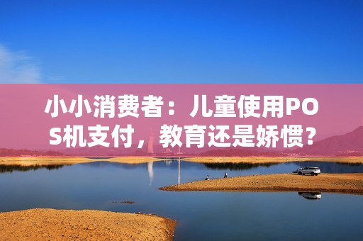 小小消费者：儿童使用POS机支付，教育还是娇惯？