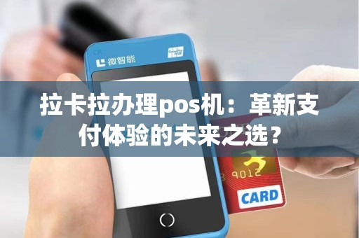 拉卡拉办理pos机：革新支付体验的未来之选？