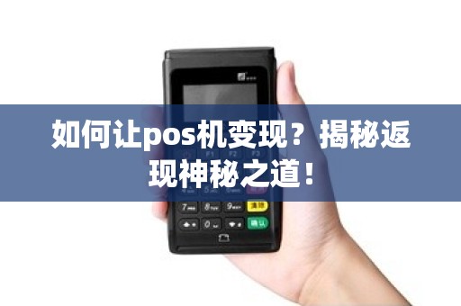 如何让pos机变现？揭秘返现神秘之道！