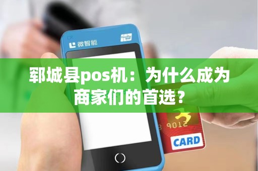 郓城县pos机：为什么成为商家们的首选？