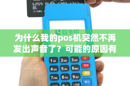 为什么我的pos机突然不再发出声音了？可能的原因有哪些？