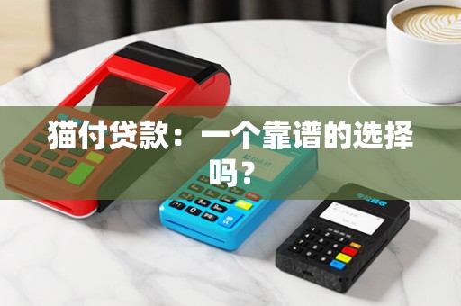 猫付贷款：一个靠谱的选择吗？