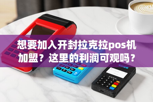 想要加入开封拉克拉pos机加盟？这里的利润可观吗？