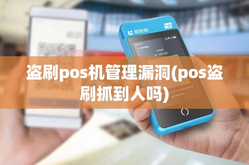 盗刷pos机管理漏洞(pos盗刷抓到人吗)