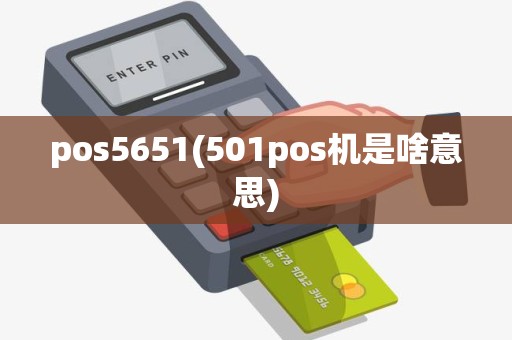 pos5651(501pos机是啥意思)