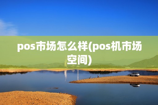 pos市场怎么样(pos机市场空间)