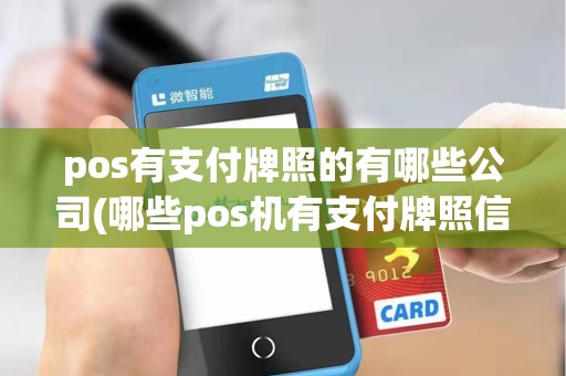 pos有支付牌照的有哪些公司(哪些pos机有支付牌照信息)
