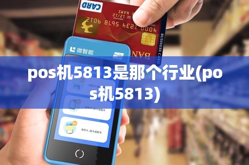 pos机5813是那个行业(pos机5813)