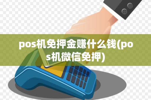 pos机免押金赚什么钱(pos机微信免押) pos机免押金赚什么钱(pos机微信免押)