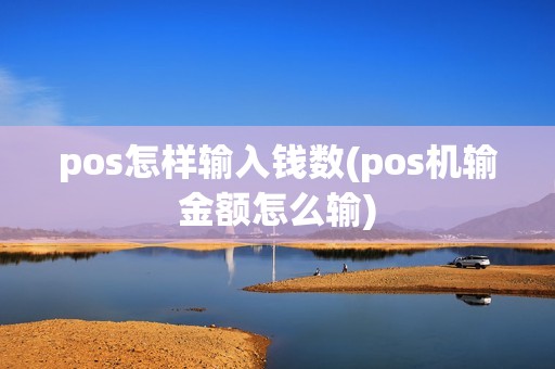 pos怎样输入钱数(pos机输金额怎么输)