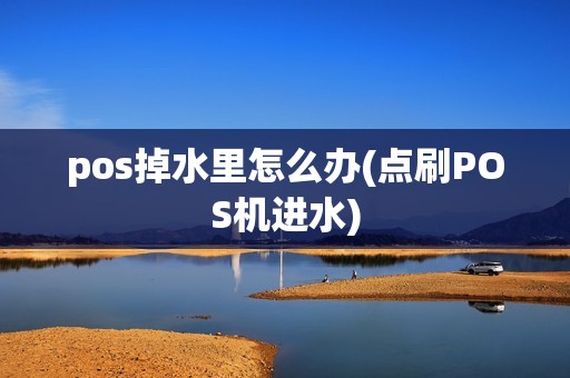 pos掉水里怎么办(点刷POS机进水) pos掉水里怎么办(点刷POS机进水)
