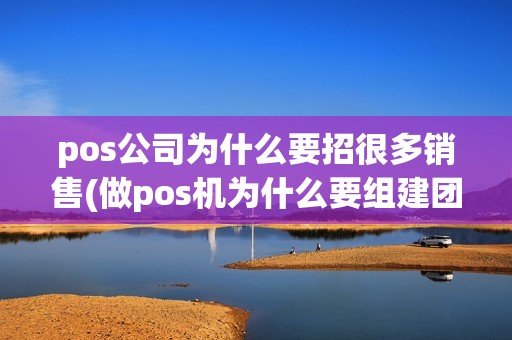 pos公司为什么要招很多销售(做pos机为什么要组建团队) pos公司为什么要招很多销售(做pos机为什么要组建团队)