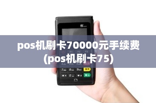 pos机刷卡70000元手续费(pos机刷卡75)