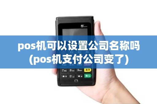 pos机可以设置公司名称吗(pos机支付公司变了)