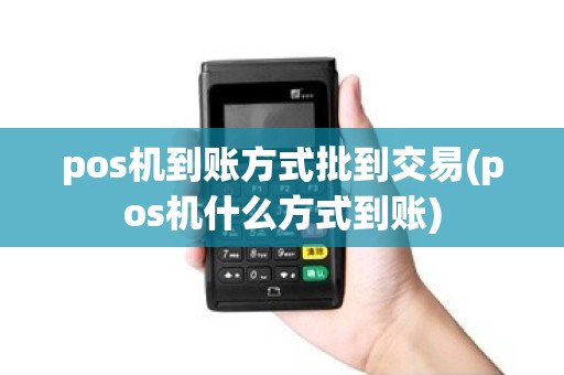 pos机到账方式批到交易(pos机什么方式到账)
